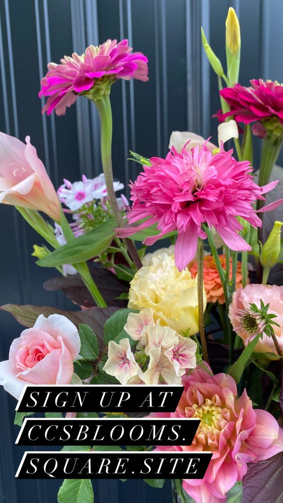 CCS BLOOMS Request Information Florists Lebanon, OH Phone