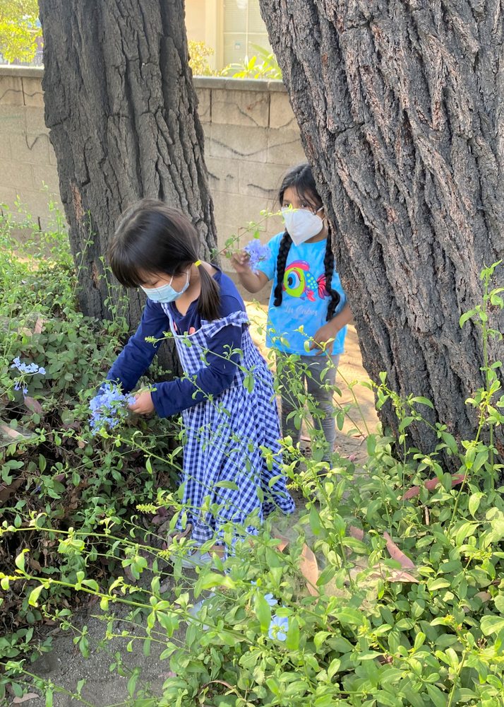 Pacific Friends School - childcare center in Temple City, CA
