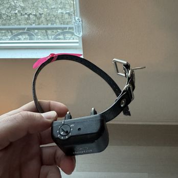 Comfy Home - Shock collar, set to level 5/7 - Pet Boarding Near Me Comfy Home - Shock collar, set to level 5/7 - Pet Boarding Near Me