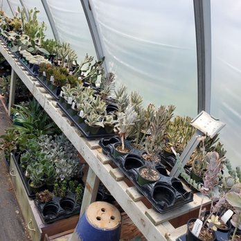 Crystal Gardens - Antiques Near Me - Frankfort, Michigan