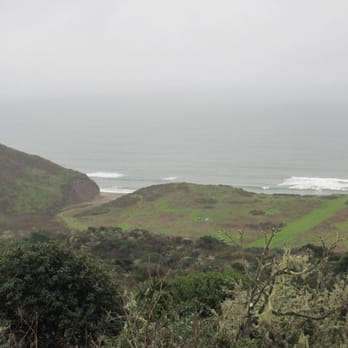 Wildcat Camp - View of the campsites, December. - Campgrounds Near Me - Point Reyes Station, California Wildcat Camp - View of the campsites, December. - Campgrounds Near Me - Point Reyes Station, California