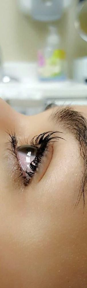 Timeless Lash & Brow Logo