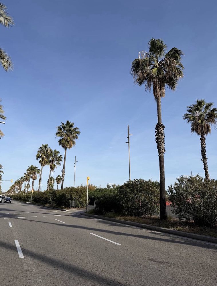 Hotel Occidental Atenea Mar