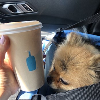 Blue Bottle Coffee - Studio City - Iced New Orleans - Coffee & Tea Near Me - Studio City, California