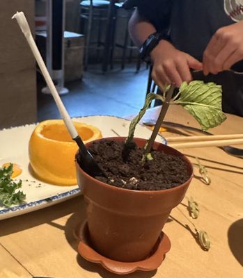 The One Sushi by null