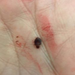 Tenth Frame Cinema - This was crawling on my neck after sitting inside the theater to see Dumbo for 1 hour. Rude management. Disgusting.