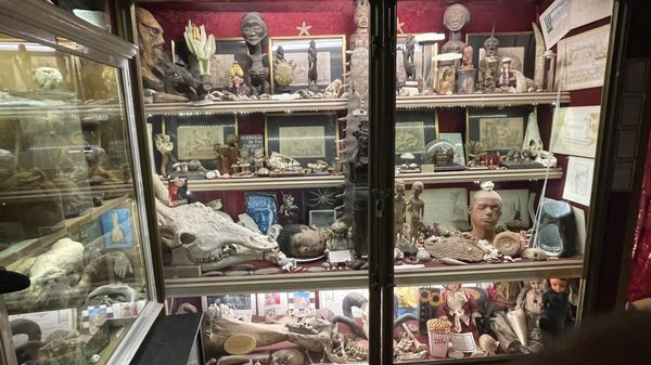 The Viktor Wynd Museum of Curiosities, Fine Art & UnNatural History by null