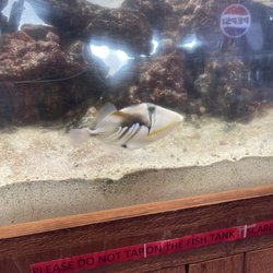 Aquarium in the front of the restaurant