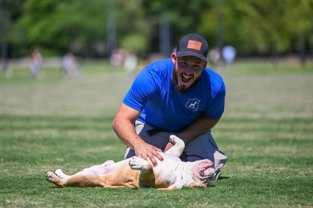 Blue Stripe K9 - pet boarding facility in Ashland City, TN
