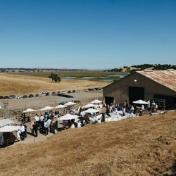 Reis River Ranch Vineyards