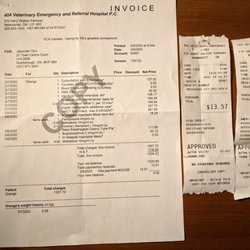 404 vet emergency hospital