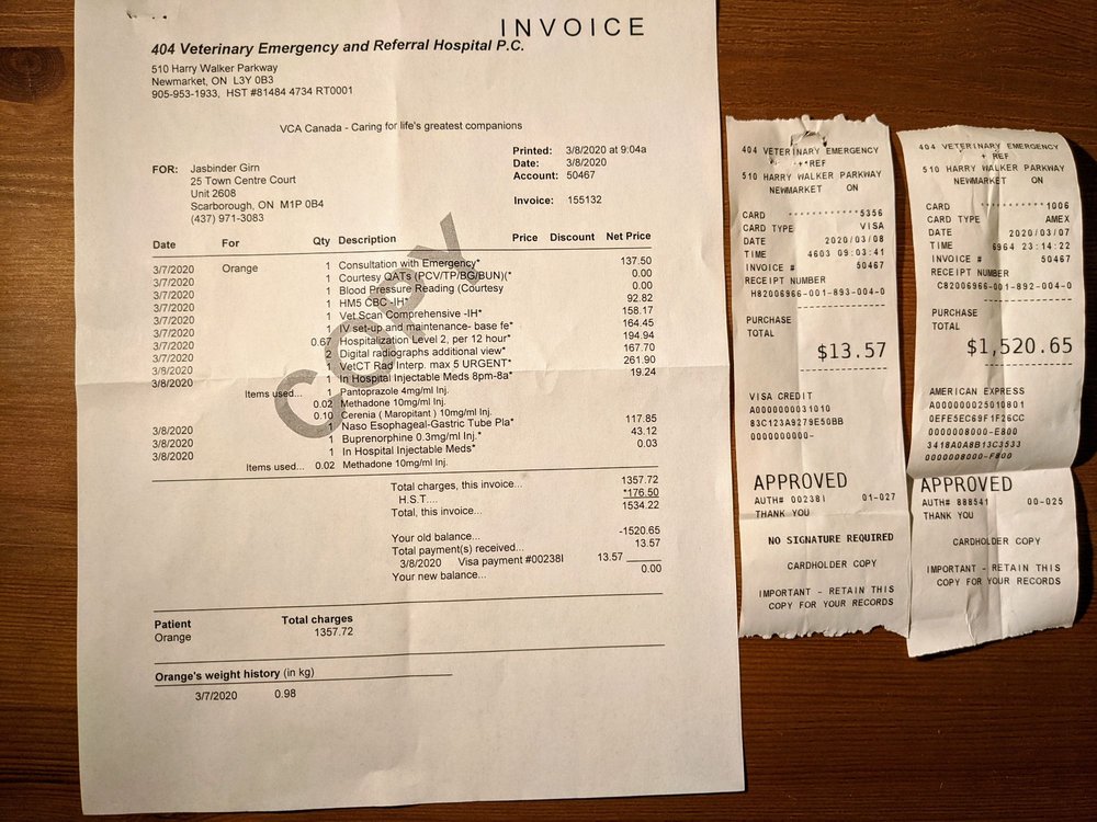 404 vet emergency hospital