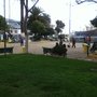 Plaza de Armas de Cartagena