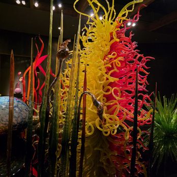 Chihuly Collection - Art Galleries Near Me - Saint Petersburg, Florida