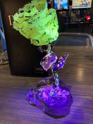 Distill - A Local Bar by null