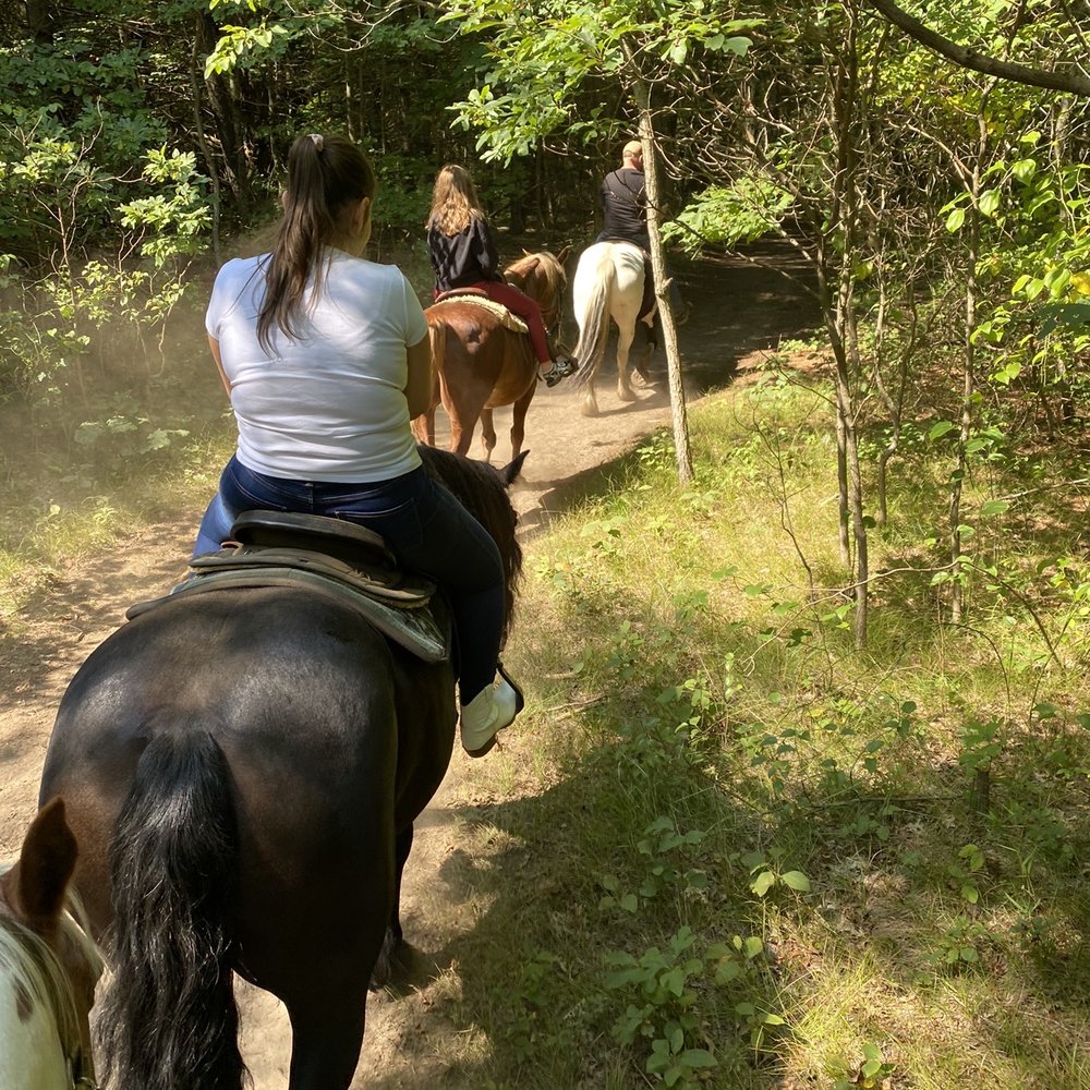 On the trail! On the trail!