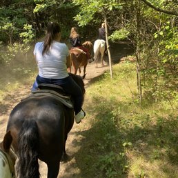 On the trail! On the trail!
