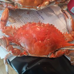 Skipjack's Seafood