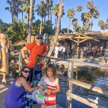 Paradise Point - Feeding the fish while waiting for a table - Resorts Near Me - San Diego, California Paradise Point - Feeding the fish while waiting for a table - Resorts Near Me - San Diego, California