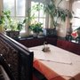 Photo of Fünf Sterne China-Restaurant