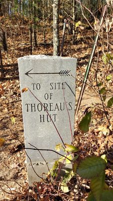 Walden Pond State Reservation by null