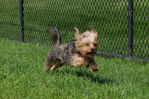 Now Boarding by null