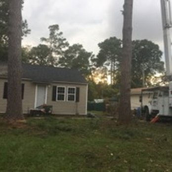 Trees R Us - Tree Services Near Me - Florence, South Carolina