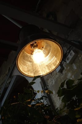 La REcyclerie by null