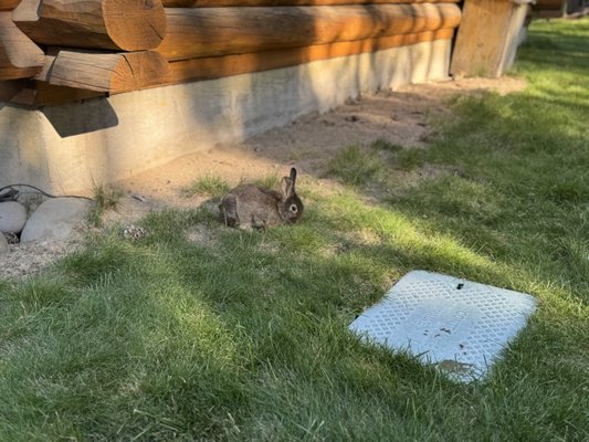 LaPine State Park by null