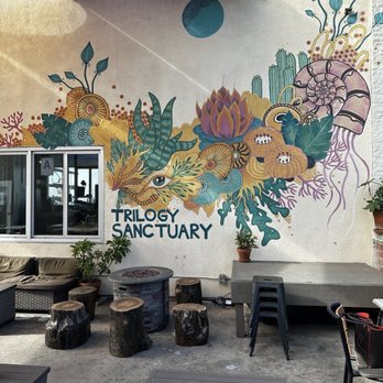 Trilogy Sanctuary - Rooftop - Juice Bars & Smoothies Near Me - La Jolla, California Trilogy Sanctuary - Rooftop - Juice Bars & Smoothies Near Me - La Jolla, California