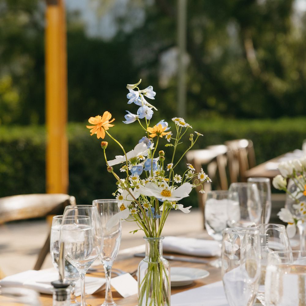 Water Access, Water Stars, …Wedding Dreams? – American Windsurfer, image size:1000x1000