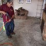 Photo of Golden Carpet & Upholstery Cleaning