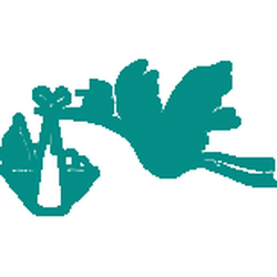 Gulfcoast Institute of OB/GYN