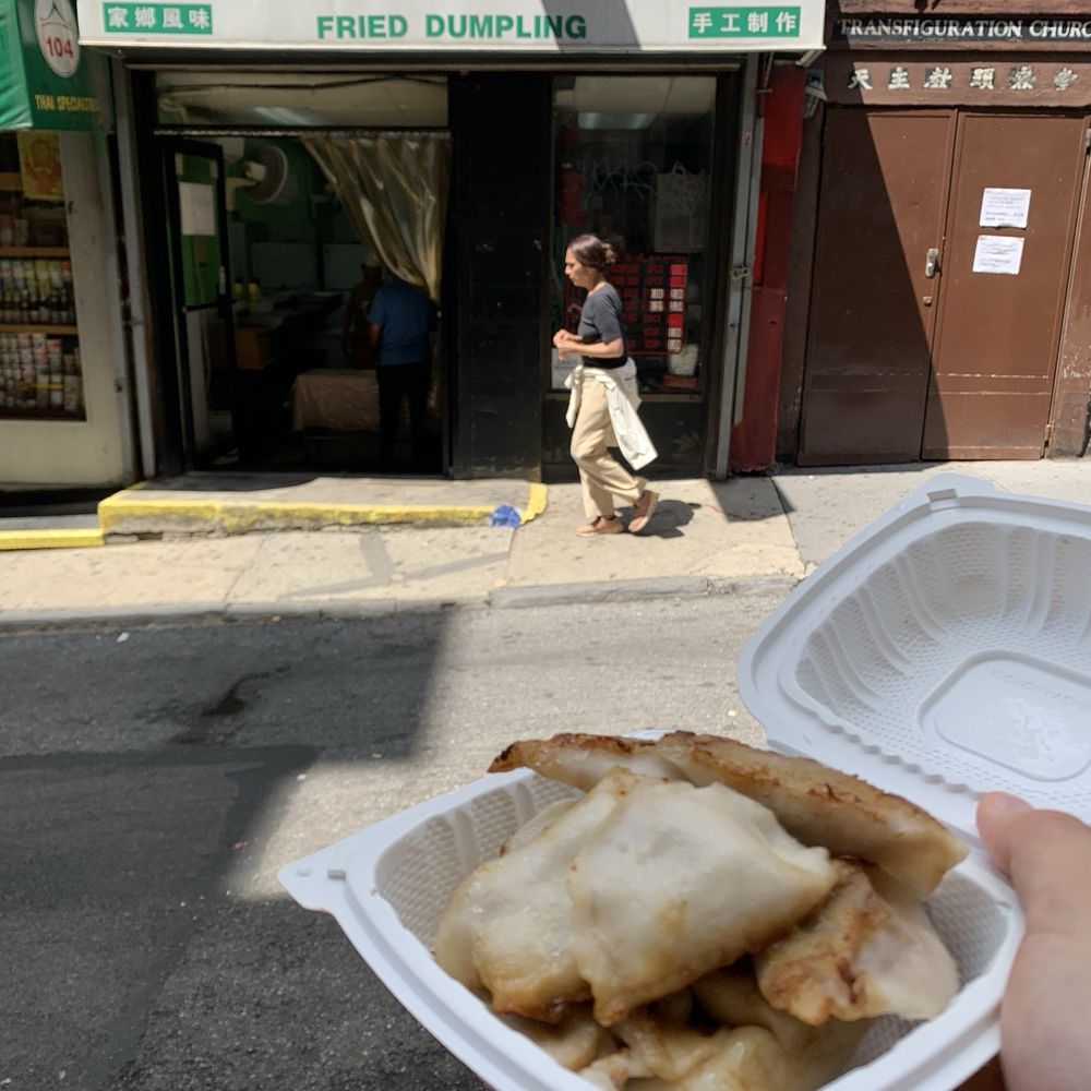 Fried Dumpling - Chinese Near Me - New York, New York Fried Dumpling - Chinese Near Me - New York, New York