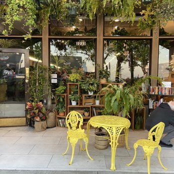 Lost Books - Vinyl Records Near Me - Montrose, California