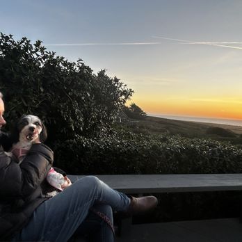 Mendocino Seaside Cottage - Porch view. - Vacation Rentals Near Me - Mendocino, California Mendocino Seaside Cottage - Porch view. - Vacation Rentals Near Me - Mendocino, California