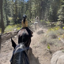 Trail ride at Alpine Meadows Stable. Trail ride at Alpine Meadows Stable.