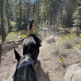 Alpine Meadows Stables - Trail ride at Alpine Meadows Stable. - Horseback Riding Near Me - Tahoe City, California Alpine Meadows Stables - Trail ride at Alpine Meadows Stable. - Horseback Riding Near Me - Tahoe City, California