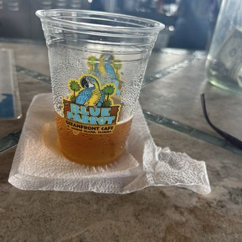 Blue Parrot Ocean Front Cafe - Oyster city - Seafood Near Me - Eastpoint, Florida