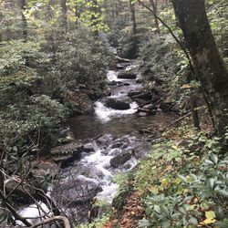Greybeard Trailhead
