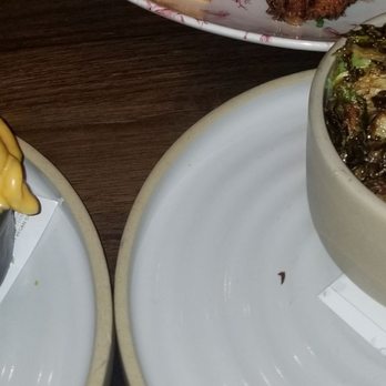 Yardbird - Mac and Cheese along with Brussels@ Yardbird! - New American Near Me - Washington, DC, District of Columbia Yardbird - Mac and Cheese along with Brussels@ Yardbird! - New American Near Me - Washington, DC, District of Columbia