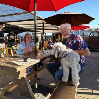 Joshua Tree Saloon - Yes! Fido Is Welcome Too Outside On Their Patio! - Dive Bars Near Me - Joshua Tree, California Joshua Tree Saloon - Yes! Fido Is Welcome Too Outside On Their Patio! - Dive Bars Near Me - Joshua Tree, California