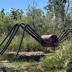 Airboat Rides Unlimited - Spider