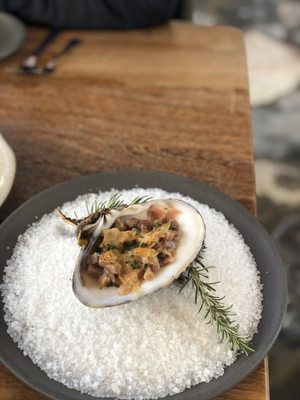 Envero en el Valle by null