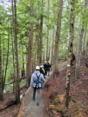 Ziptrek Ecotours by null