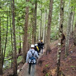 Ziptrek Ecotours - The trail to the next zip course.