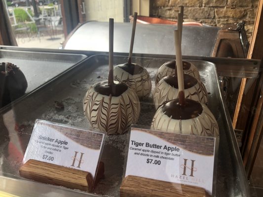 Hazel Hill Chocolate by null