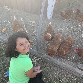 Pop's MarketPlace - My daughter at the chicken coop. - Farmers Market Near Me - Muskego, Wisconsin