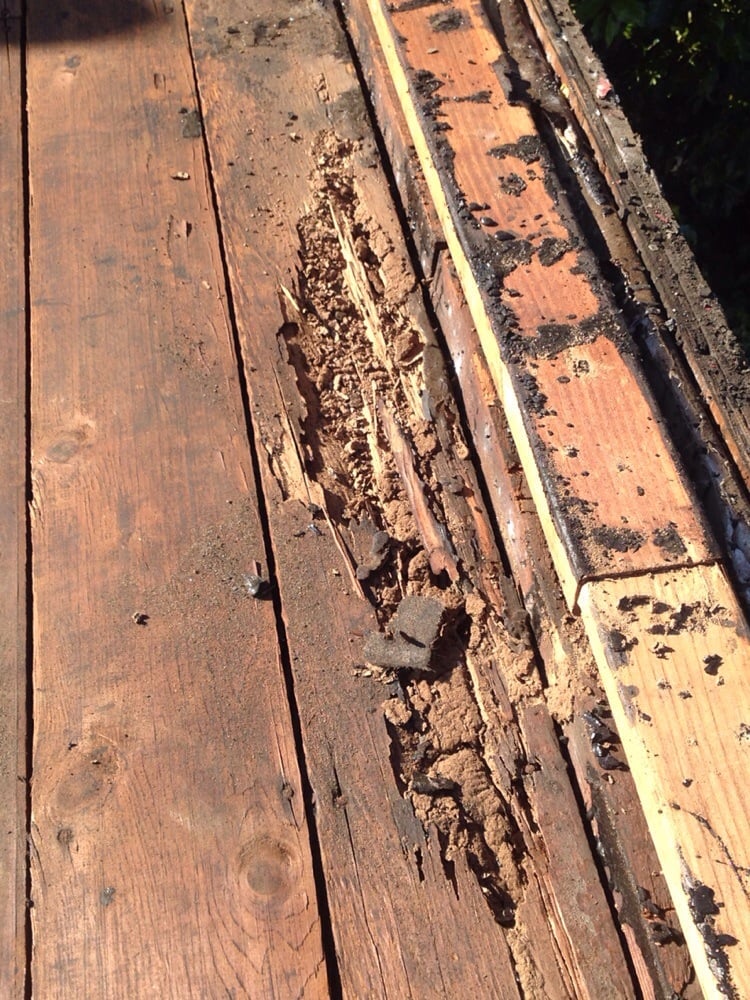 Slide of Gammalyn Roofing