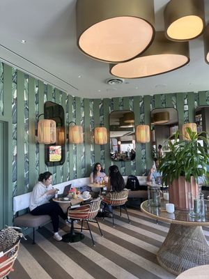 DODO BIRD Donuts by null